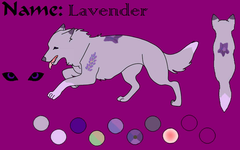 Ref-Sheet: Lavender