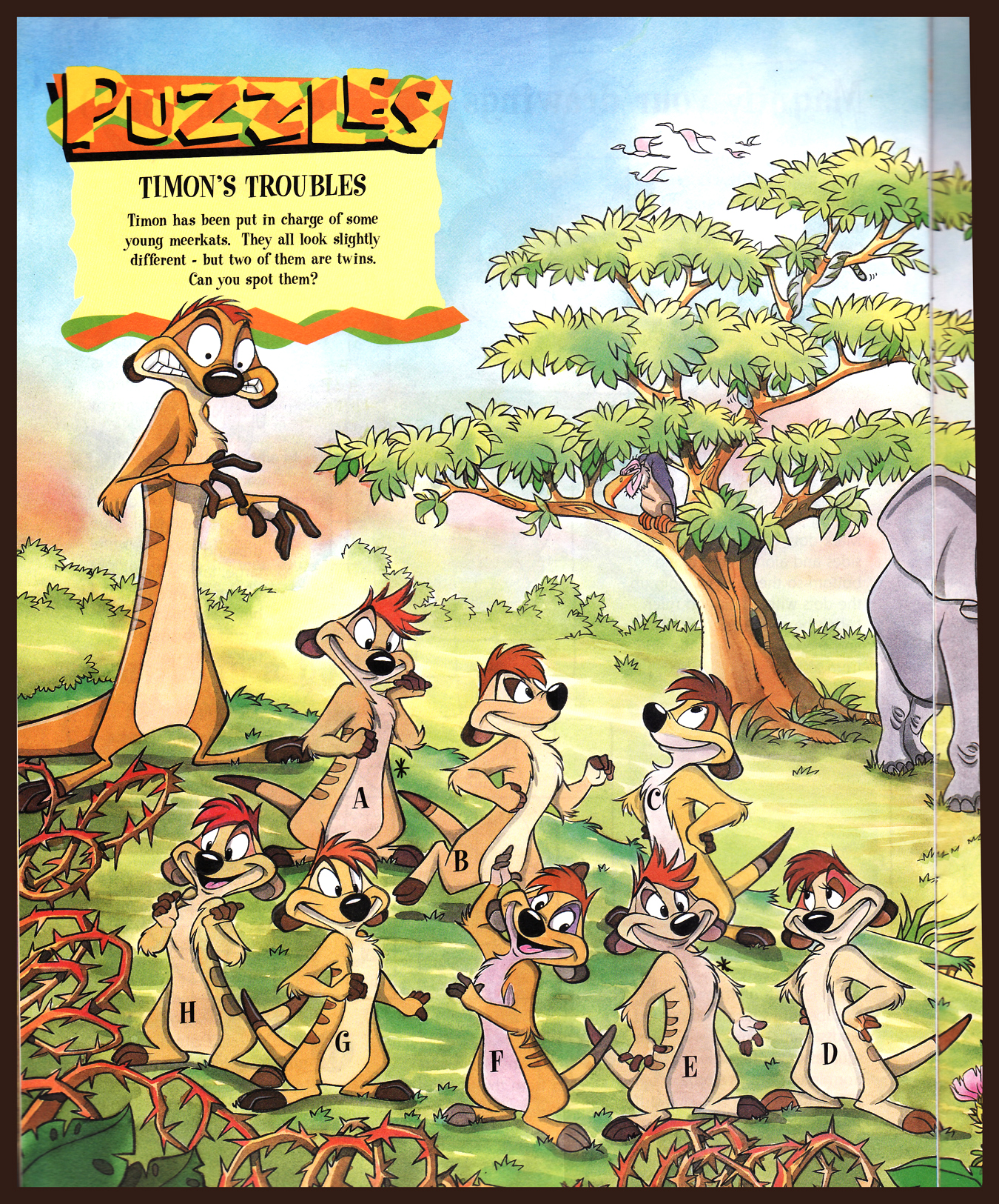 Timon's Troubles