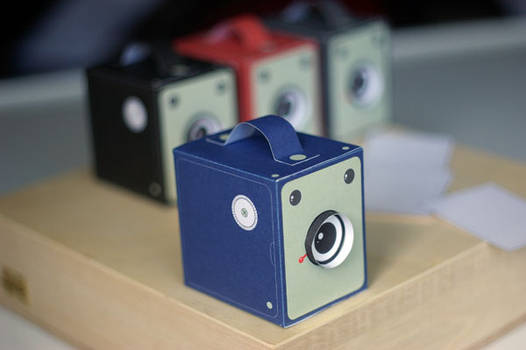 Vintage Box Cameras