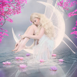 Moonlight Lilly