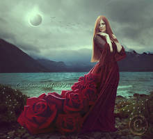 The Way of the Roses