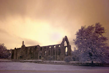Bolton Abbey in infrared