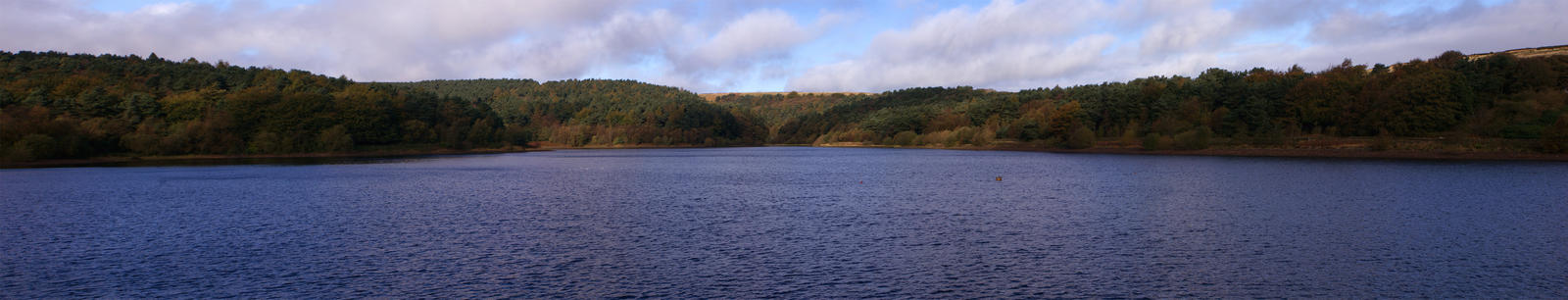 Ogden Water