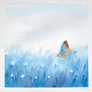 Serenity