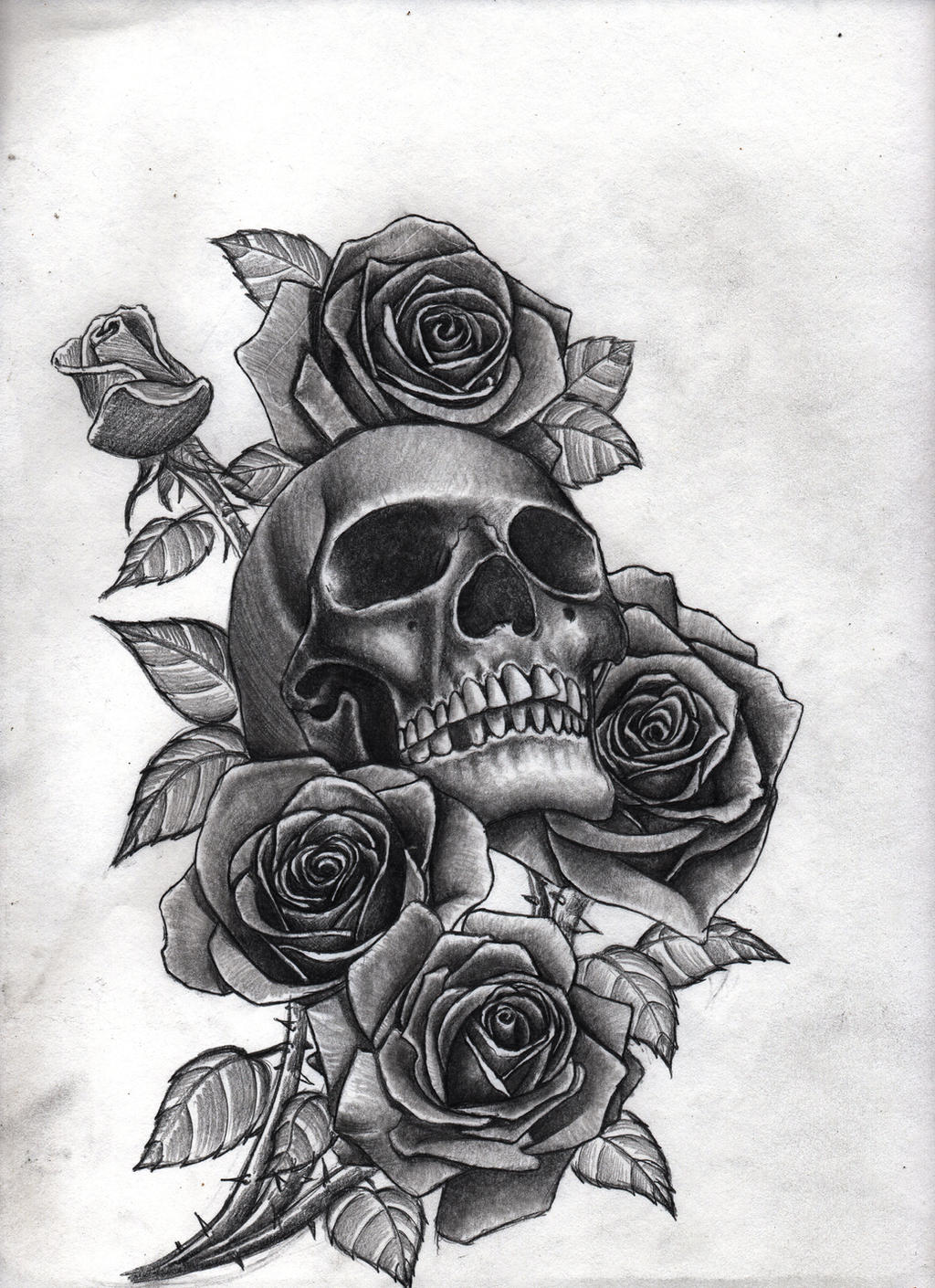 roses and skull