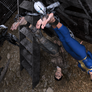 Wasteland survival guide 3