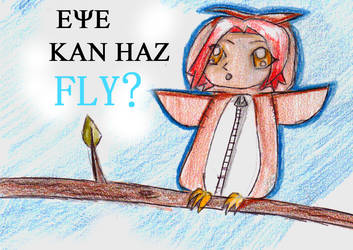 Eye Kan Haz FLY?