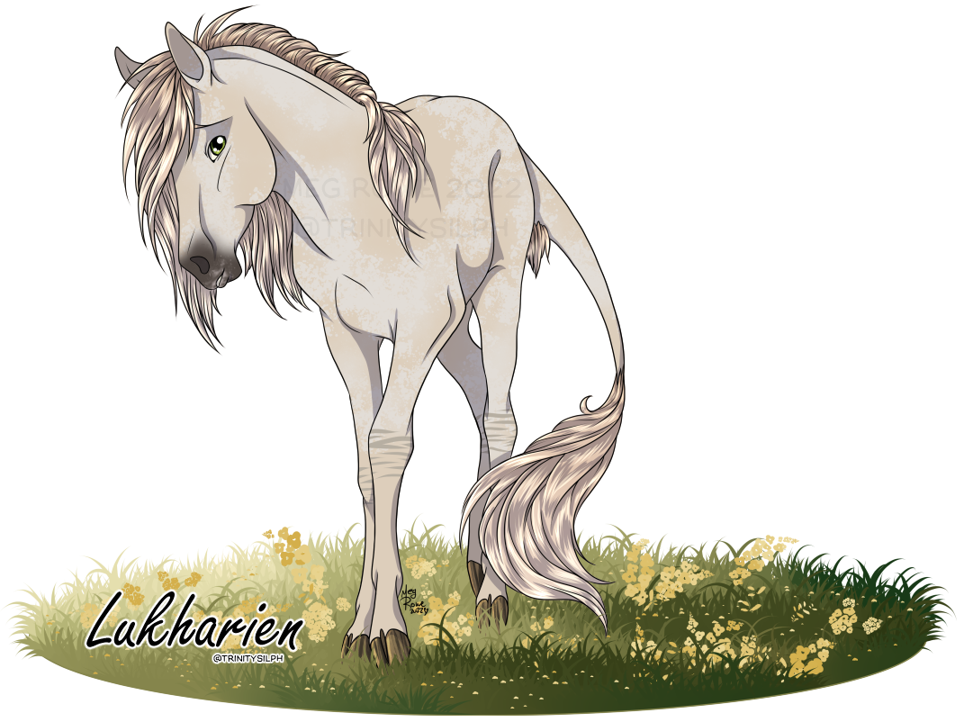 Lukharien| Colt| Herd Member