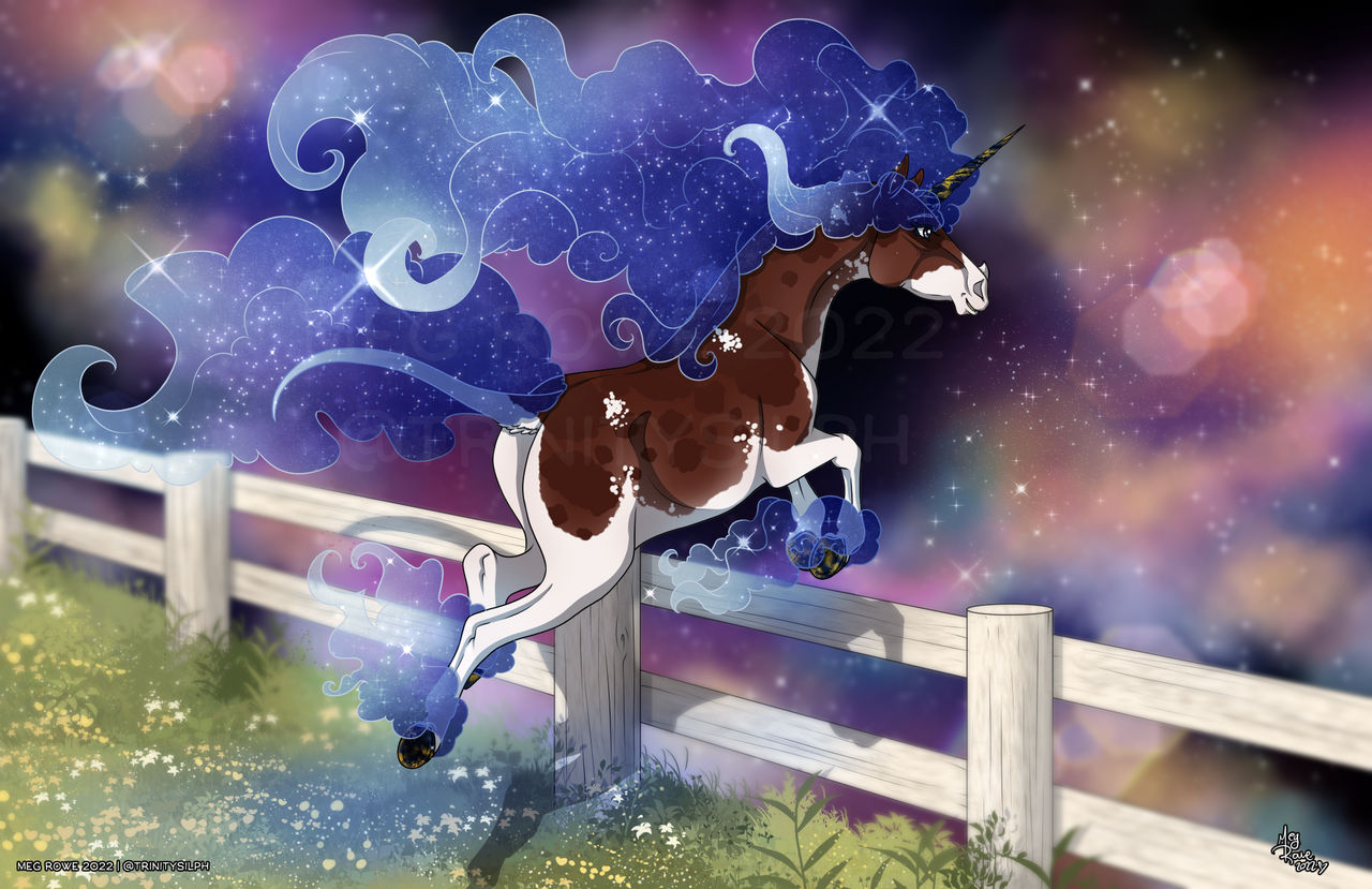 Boucle Unicorns - Tachi