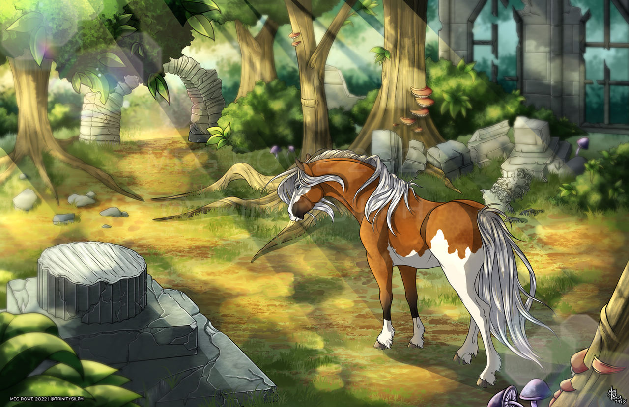 Quialuna in the Ancient Forest
