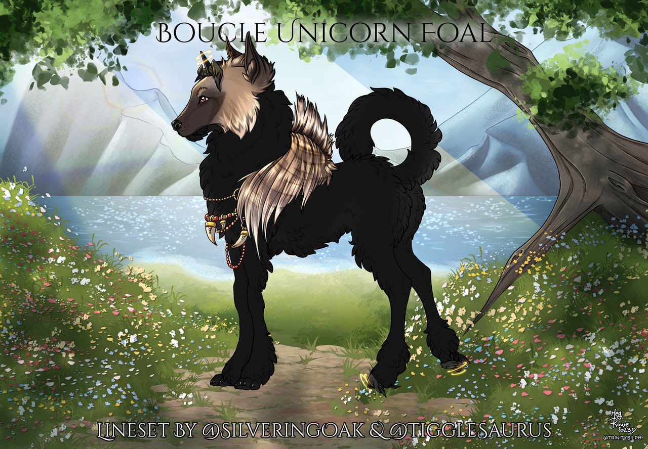 B819 The Laughing Shadow
