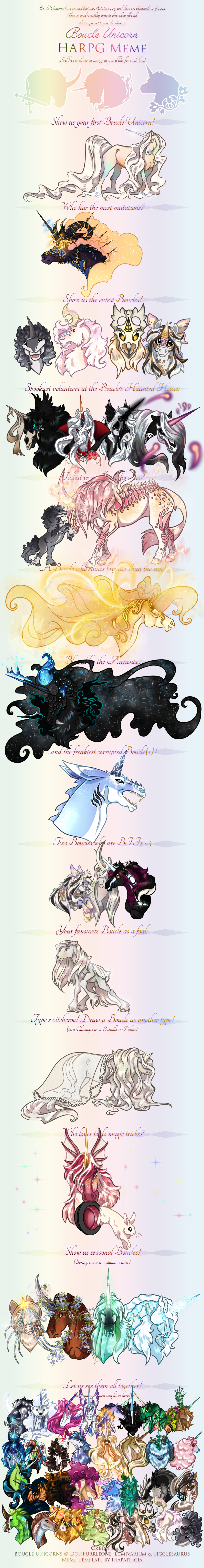 Boucle Unicorns - The First Meme