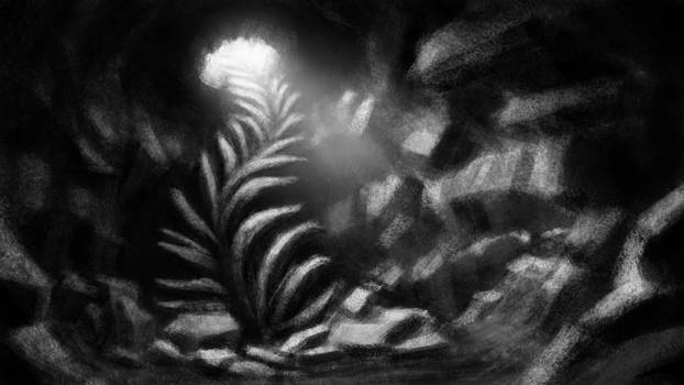 Rough background of Magic Kelp in Cavern