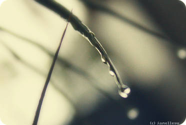 droplets