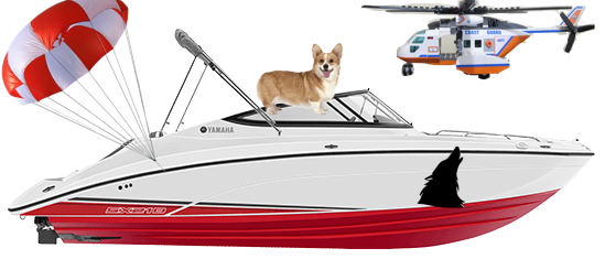 Corgi Boat