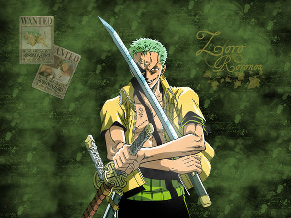 Zoro - You are my Hero by LunaInverseElric