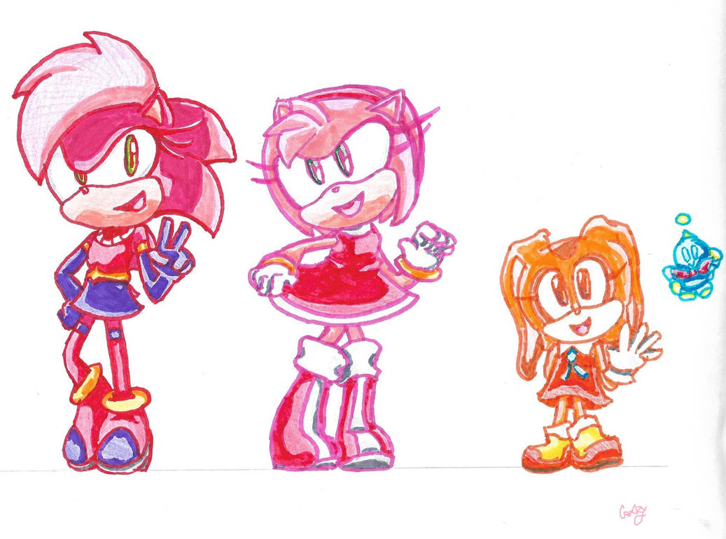 Team Rose by CrazynSonicObsessed on DeviantArt