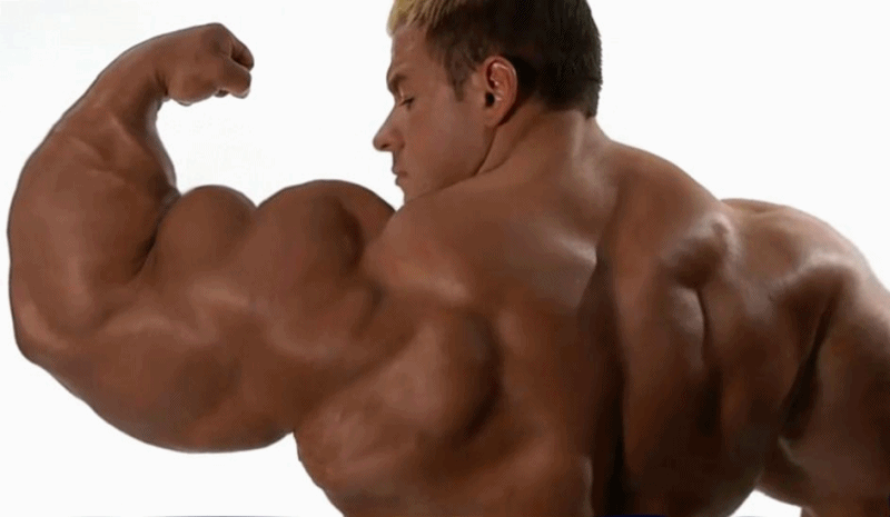 Huge muscles gif, foods that burn belly fat fast - PDF Review.