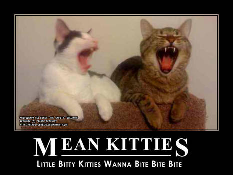 Mean Kitties