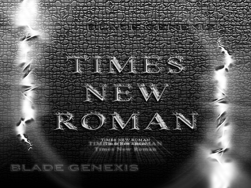 Times New Roman