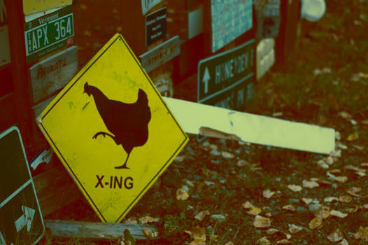 why did the chicken cross the road?