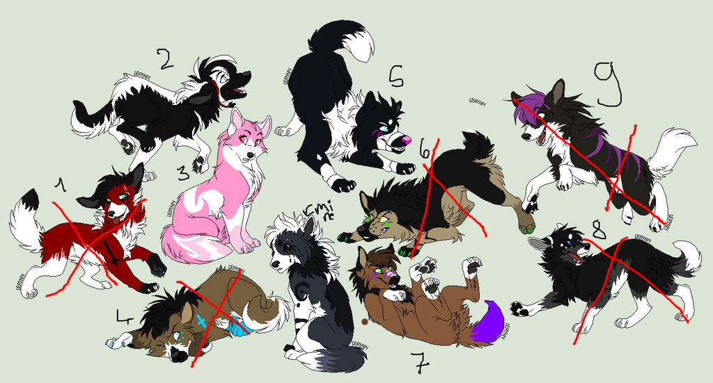 Adoptables Dogs/Wolfs| 1/9 |10 pts each| OPEN