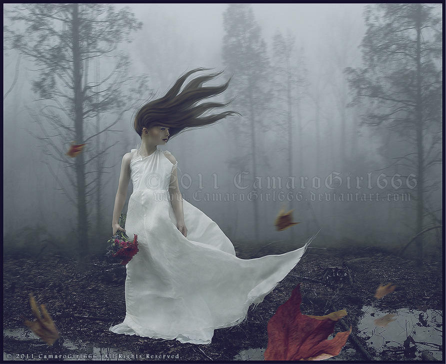 Lost Dream by CamaroGirl666 Lost Dream by CamaroGirl666