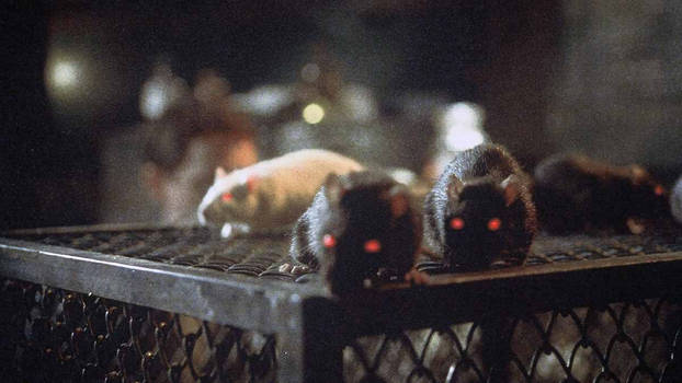 30 Rats Rampage Origins: Larry, Curtis and Rhett the Rats by NarwhalBall on ...