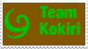 Team Kokiri