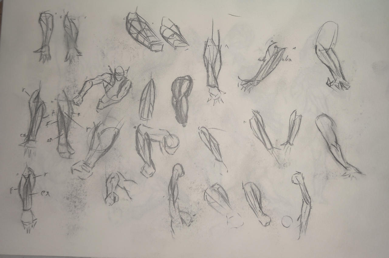 Forearm sketches by KingKillianNight on DeviantArt