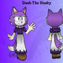 Dash the Husky