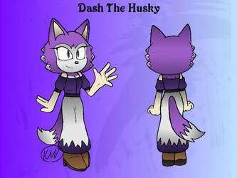 Dash the Husky