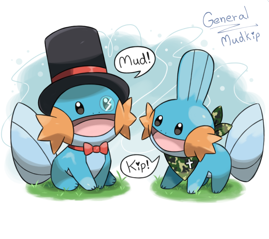 Mudkip Case Mudkip Chat by General-Mudkip on DeviantArt