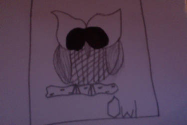 Owl Day 4