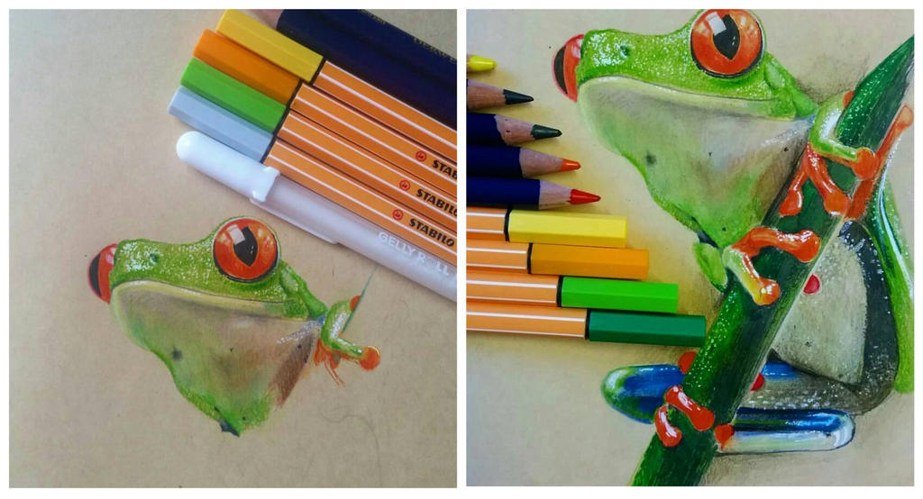 drawing realistic frog by MonikaAlm on DeviantArt