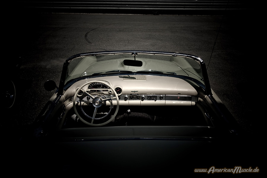 T-Bird Interior