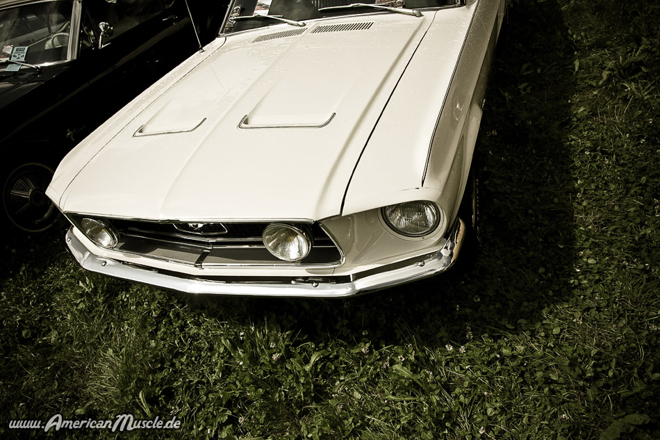 68.Stang