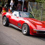 red.Stingray