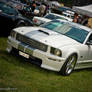 Shelby GT