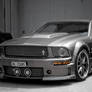 Custom Stang I