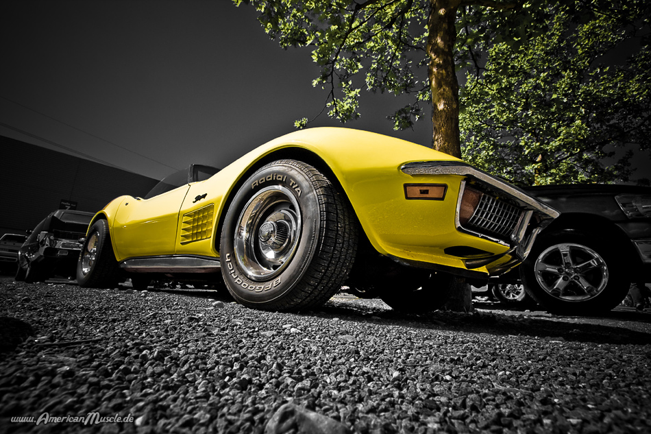 yellowC3 Stingray