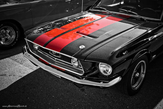 mustang racing stripes