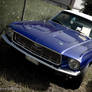 BlueStang.