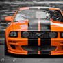 orange Mustang