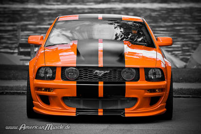 orange Mustang