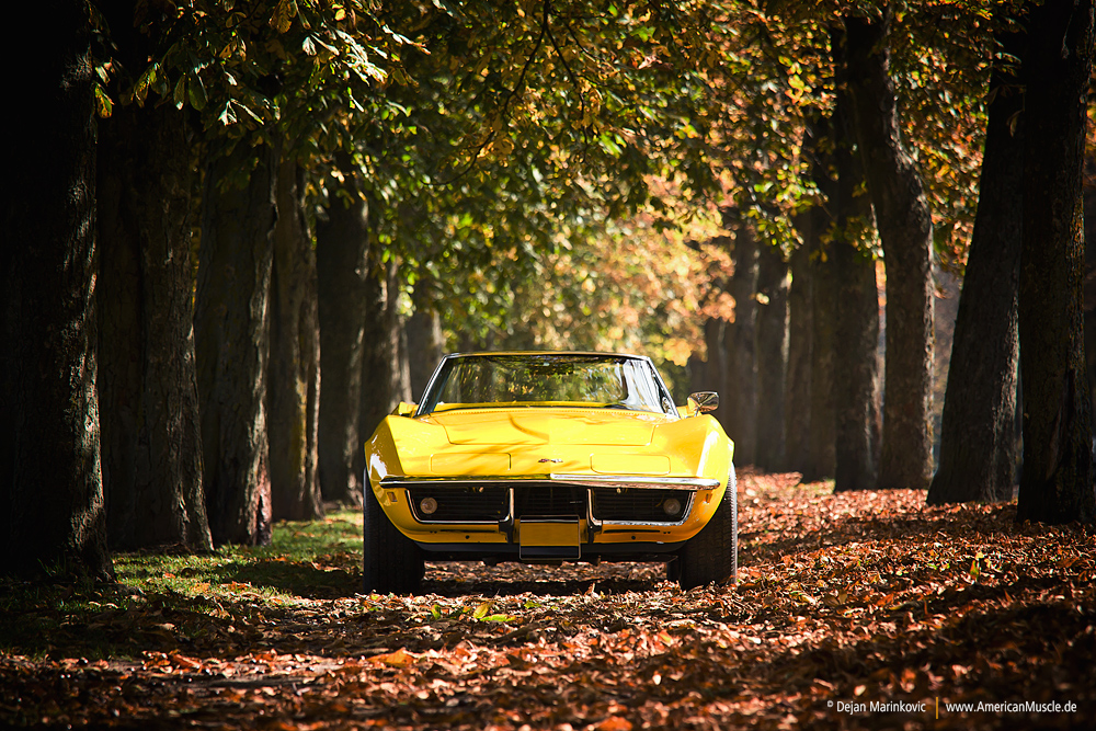 Yellow C3