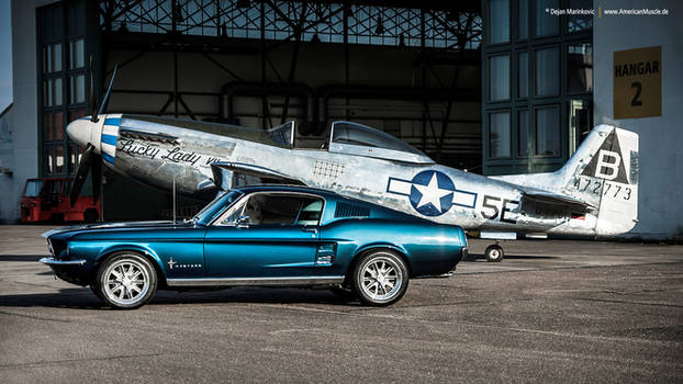 Two Mustangs