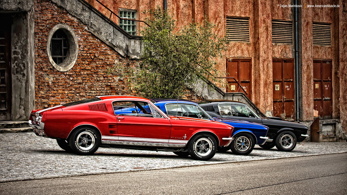 Three Fastbacks