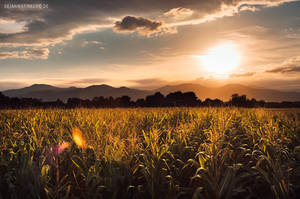 sunset in alsace by AmericanMuscle sunset in alsace by AmericanMuscle