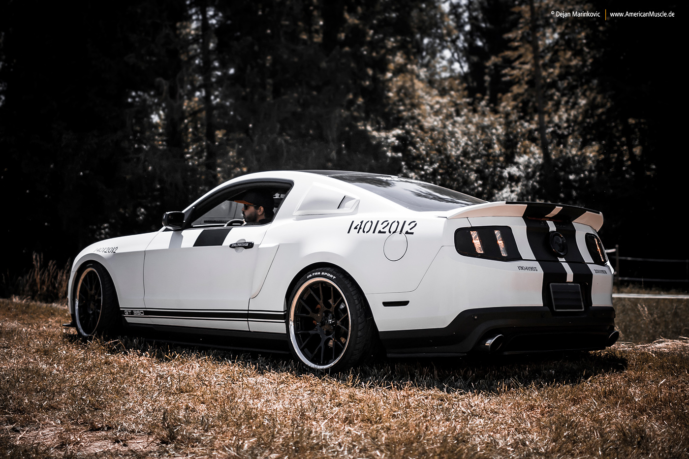 White Mustang